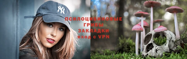 трава Мегион