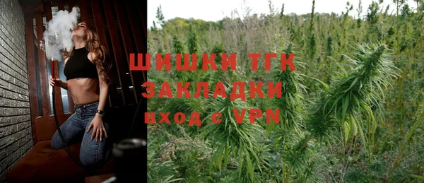 ПСИЛОЦИБИНОВЫЕ ГРИБЫ Медвежьегорск