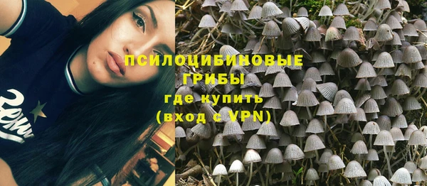 твердый Медногорск