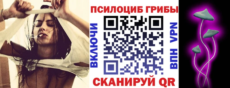 OMG рабочий сайт  Холм  Псилоцибиновые грибы Cubensis 